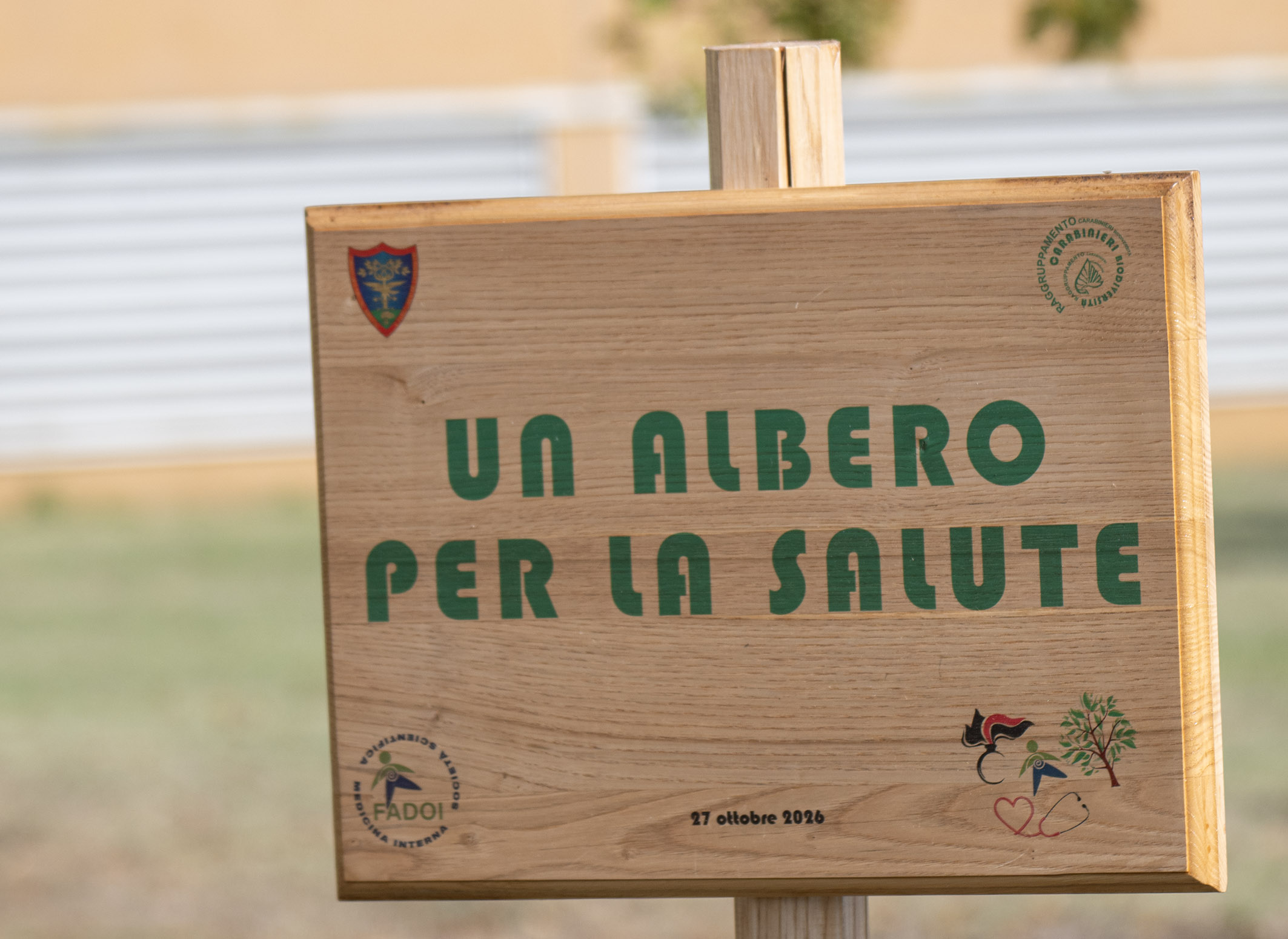 Tre tigli per la salute: all’Ospedale di Imola  il progetto nazionale “Un albero per la salute”