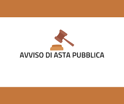 avviso di asta pubblica