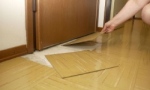 Immagine 1 - Linoleum